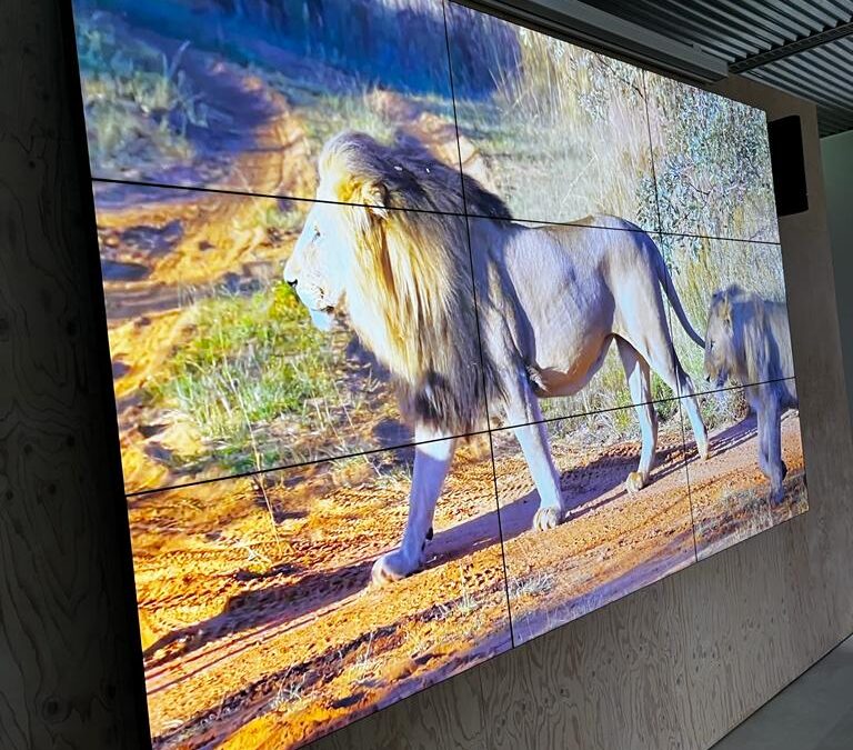 Haarscherpe videowall 3×3 55″ bij Connekt in Delft