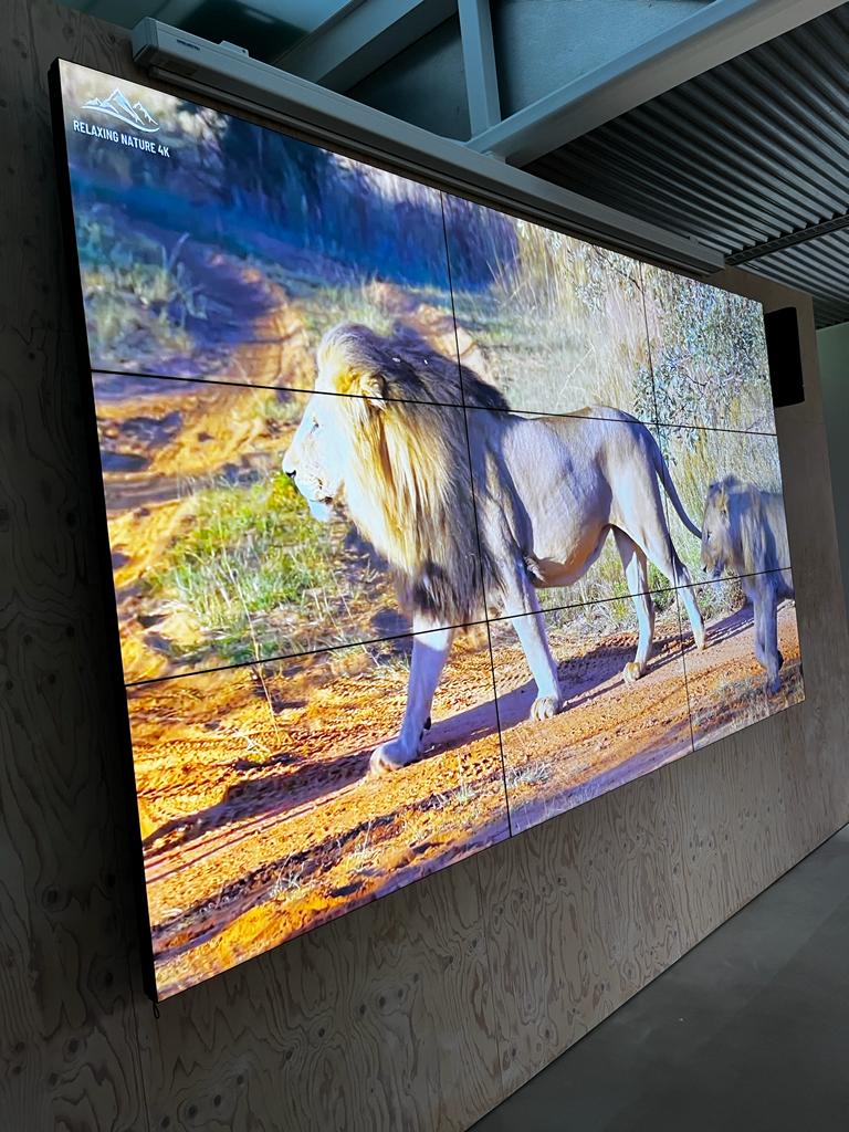 Videowal conneckt in delft