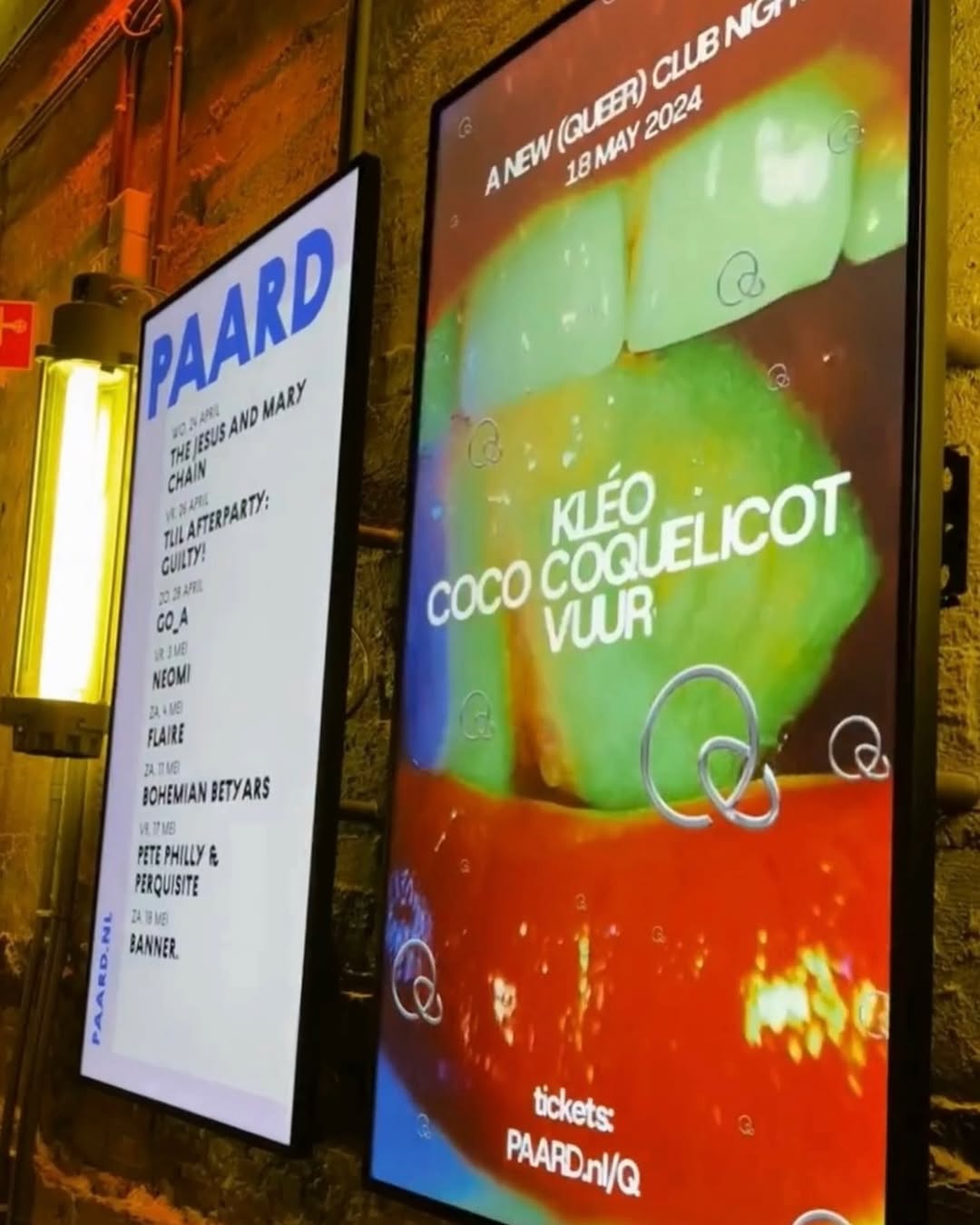 Narrowcasting voor poppodium PAARD in Den Haag